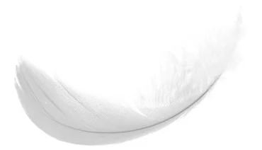 The white feather that opens Forrest Gump