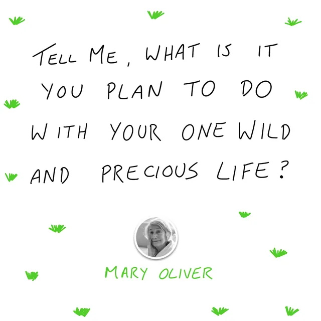 Tell Me, What Is It You Plan to Do With Your One Wild and Precious Life?, hand-lettered by Travis