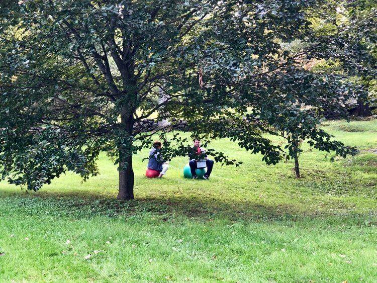 A sharing circle under a tree