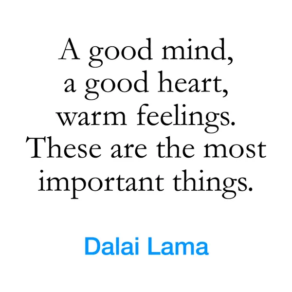 “A good mind, a good heart, warm feelings. These are the most important things.” — Dalai Lama